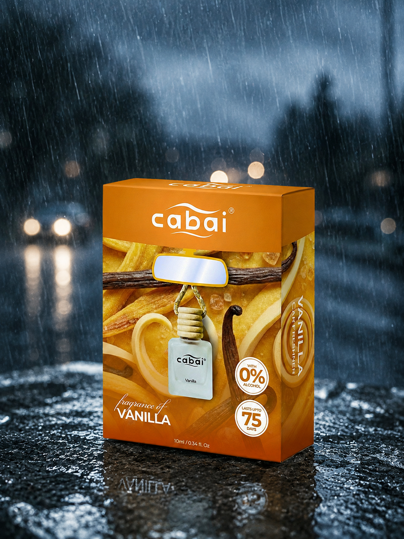 RAINY DAY